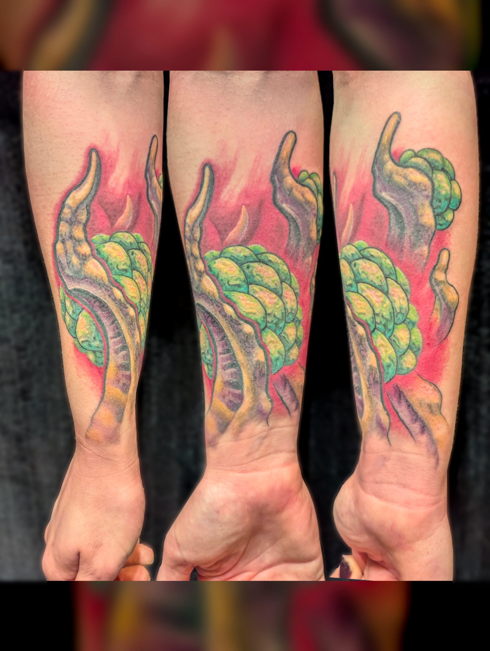 Skies Afire Tattoo — tattoo shop in South Haven, MI — photo 1